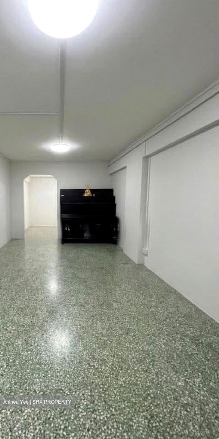 Blk 166 Stirling View (Queenstown), HDB 3 Rooms #639089561